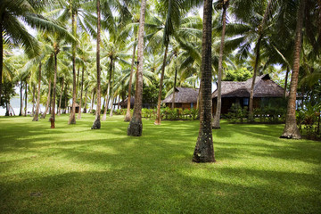 tropical resort