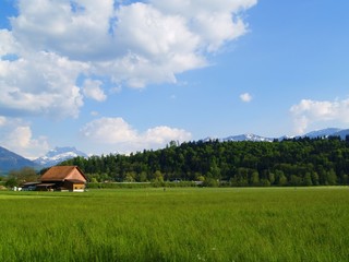 Fototapeta na wymiar Szwajcarski wsi