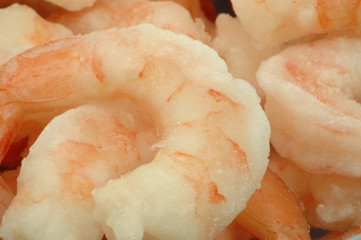 Frozen prawns