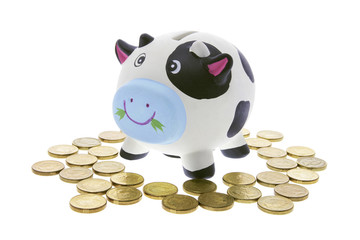 Cow Saving Bank