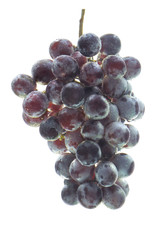 bunch of grapes