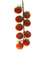 Cherry tomatoes bunch