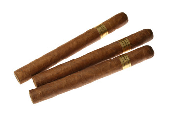 Havana Cigars Set Isolated on White