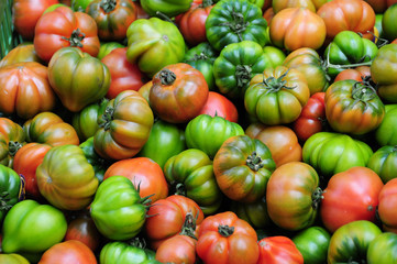 Salatparadeiser