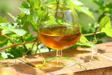 alcool brun