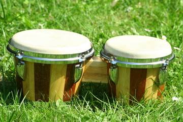 bongo