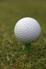 golf play  on a sunny day