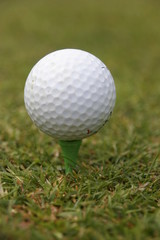 golf play  on a sunny day