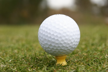 golf ball on the tee