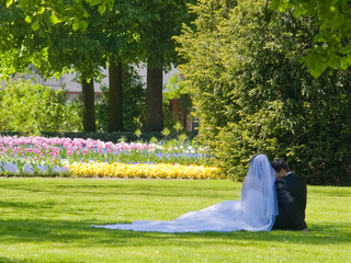 wide and groom in park