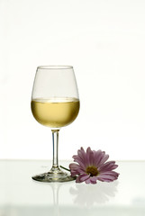 Wine With Daisy