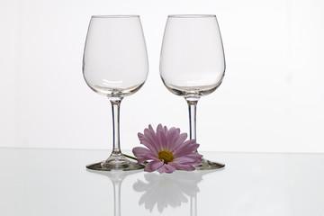 Two empty glass with daisy on the table