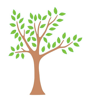 Fototapeta Spring tree with leaves