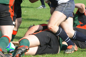 Fototapeta premium rugby