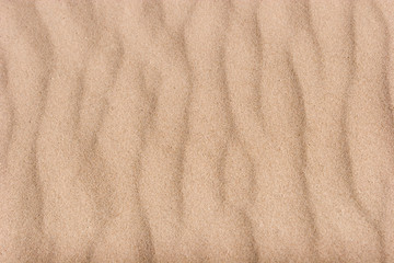 Fototapeta na wymiar Sand texture with ripples