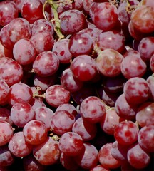 Weintrauben