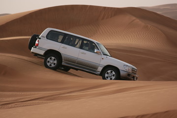 Desert Safari © dubaisalsa