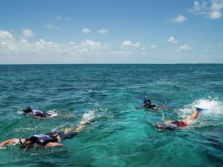 a l'assaut des fonds marins
