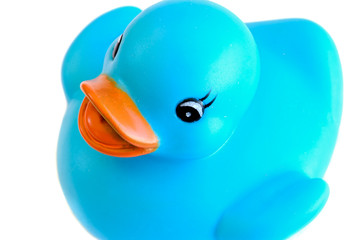 Blue plastic duck