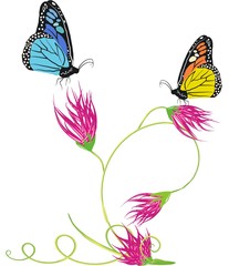 butterflies and flower
