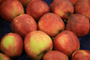 Apples