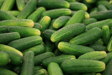 cucumbers