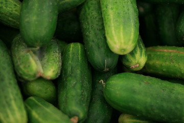 green stack