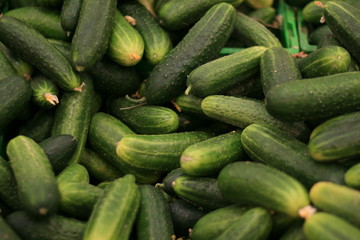 cucumbers in the market