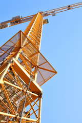 Crane 