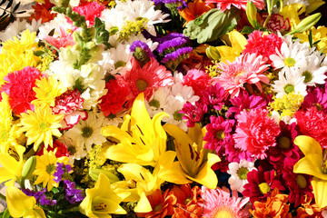 Flowers background