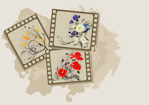 Background with summer flowers photos vintage.