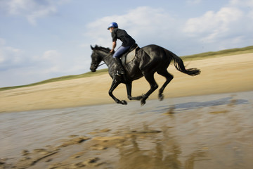 Cheval au galop sur la plage