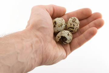 hand with three egg