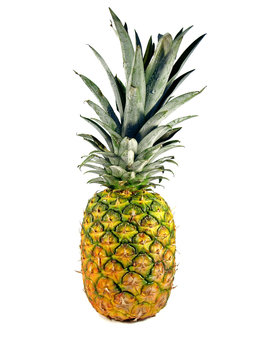 Single pineapple