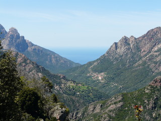 Naklejka premium ota