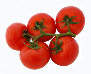 Tomates Grappe