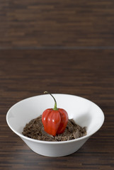 schokolade