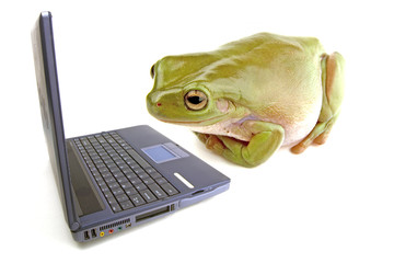 frog computer