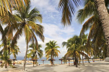Obraz na płótnie Canvas tropikalnej plaży