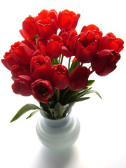 Red tulips in a vase