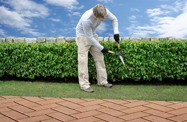 gardening