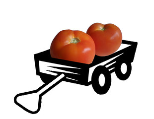tomatoes in a trailer