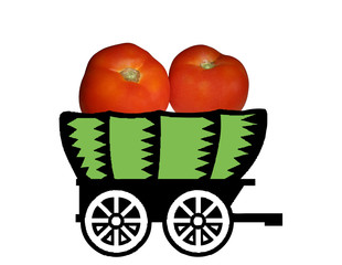 tomatoes in a cart