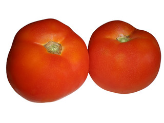 red tomatoes