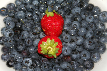 Beeren_1
