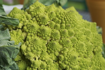 Romanesco