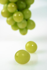 Trauben