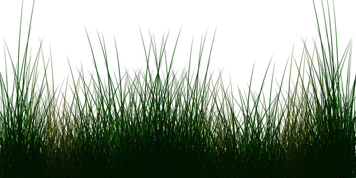 Grass elements