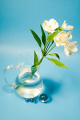 White flowers of alstroemeria in a transparent jug.
