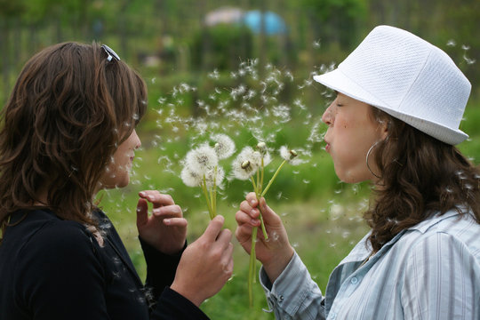 Pusteblumen....